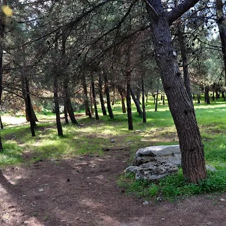 ゲストハウス Aletraki -off-grid Retreat Above Heraklion, Peaceful Views